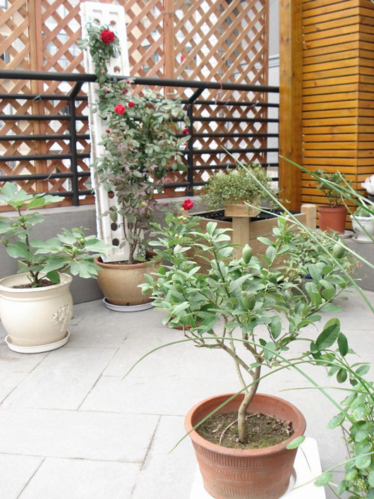 半包装修简约田园温馨居室装修风格